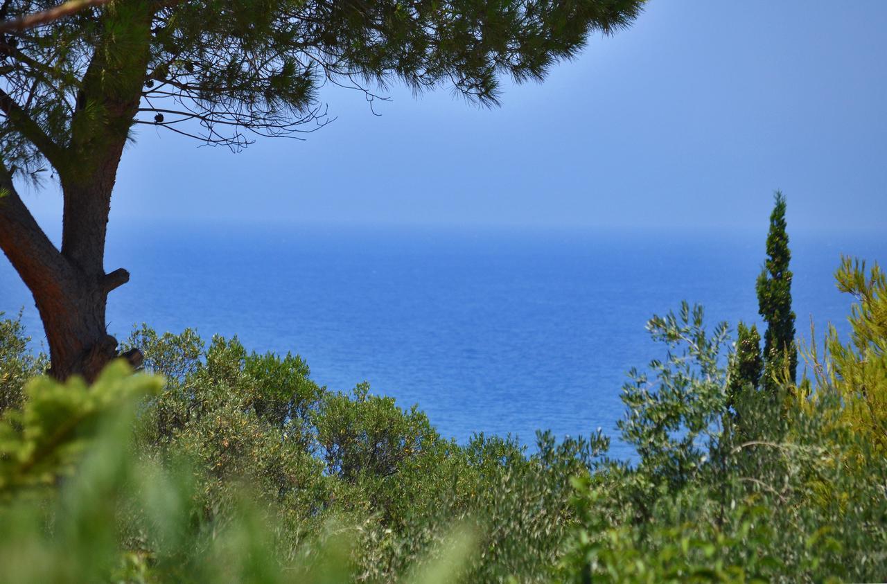 Sole e Mare Apartments Tsilivi  Extérieur photo